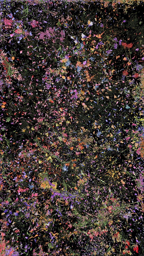 Jennifer Steinkamp, Botanic, 4, still frame 27, 2016