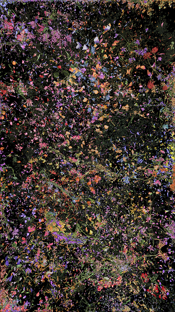 Jennifer Steinkamp, Botanic, 4, still frame 25, 2016