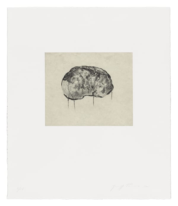 Giuseppe Penone, Brain II, 2000