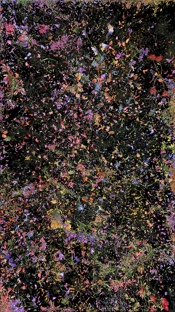 Jennifer Steinkamp, Botanic, 4, still frame 29, 2016