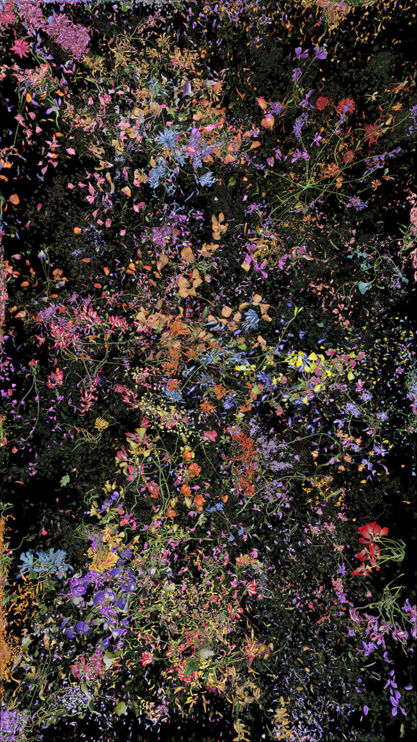 Jennifer Steinkamp, Botanic, 4, still frame 14, 2016