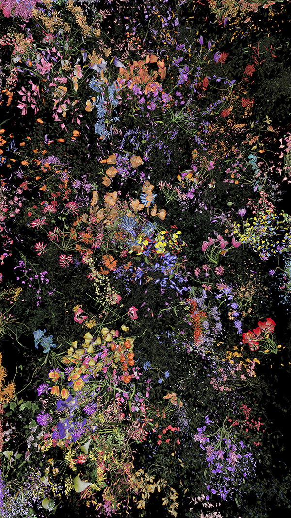Jennifer Steinkamp, Botanic, 4, still frame 9, 2016