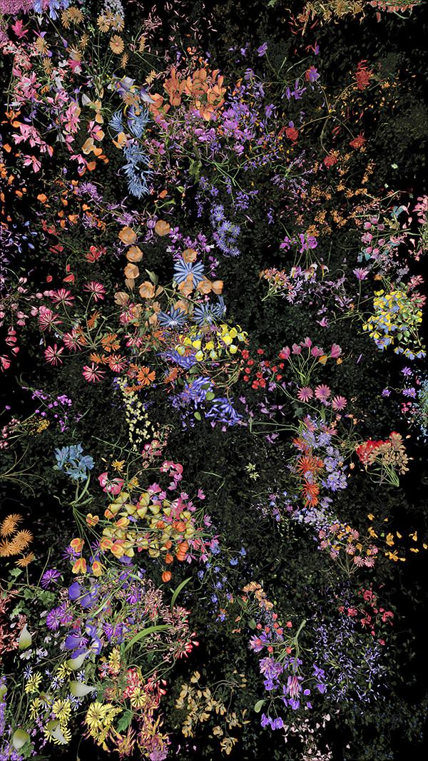 Jennifer Steinkamp, Botanic, 4, still frame 8, 2016