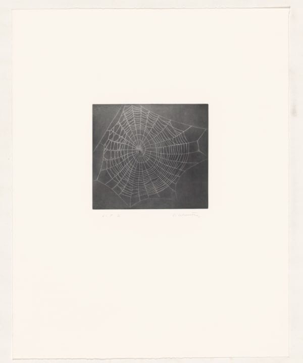 Vija Celmins, Untitled (Web 1), 2001