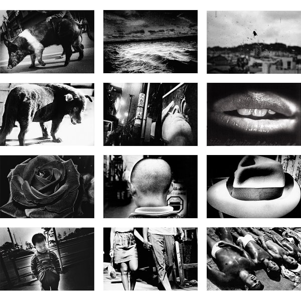 Daido Moriyama, Classic Daido, 2023