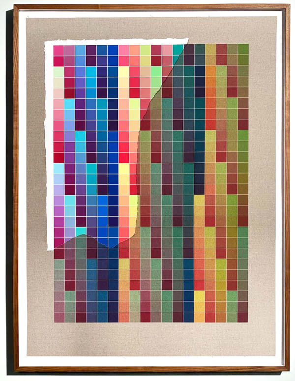 Analia Saban, Transcending Pigment from Paint to Canvas, from Canvas to Paint (Color) #3, 2020