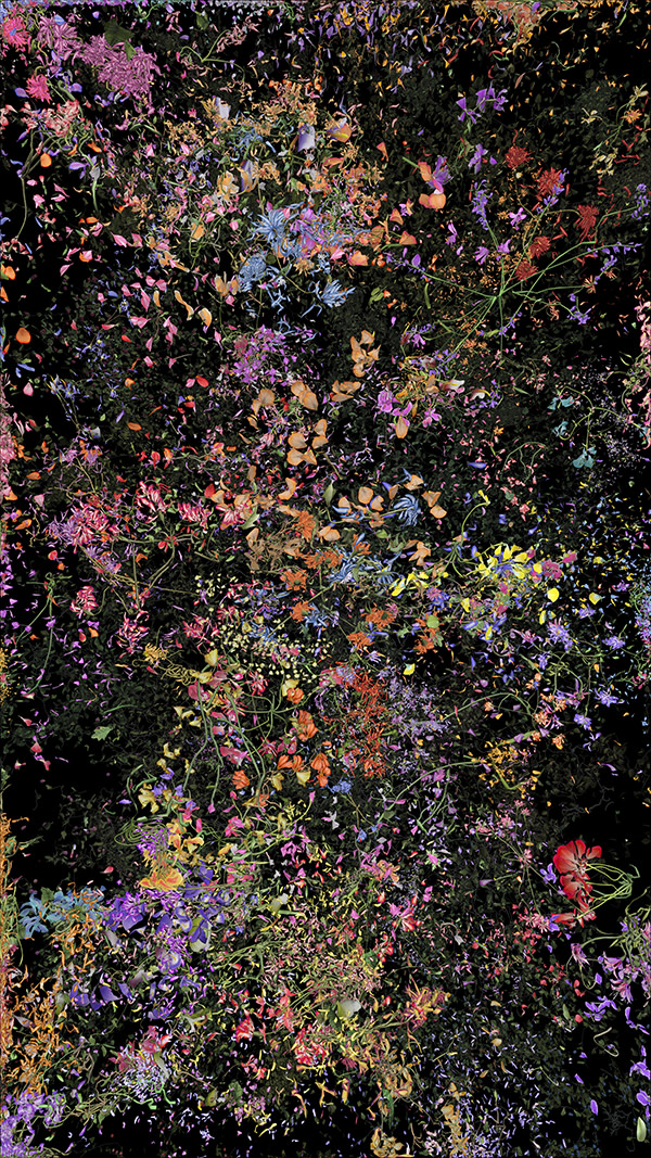 Jennifer Steinkamp, Botanic, 4, still frame 15, 2016