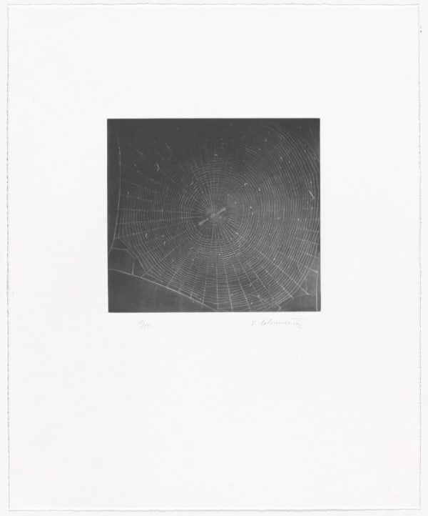 Vija Celmins, Untitled (Web 2), 2001