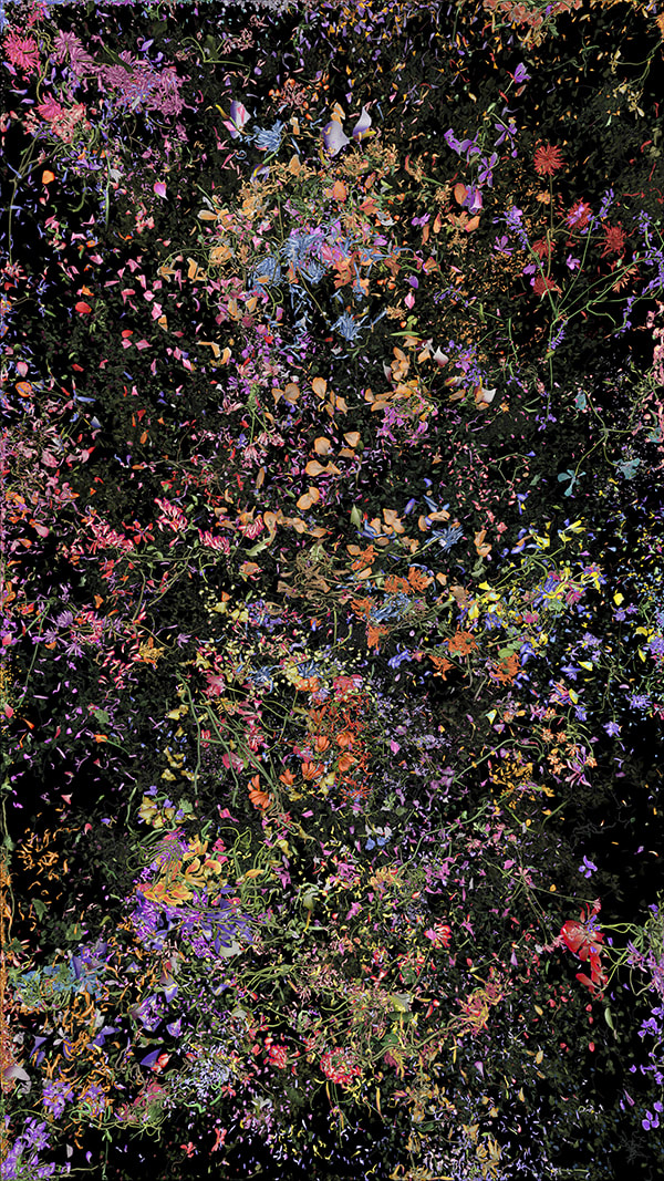 Jennifer Steinkamp, Botanic, 4, still frame 17, 2016