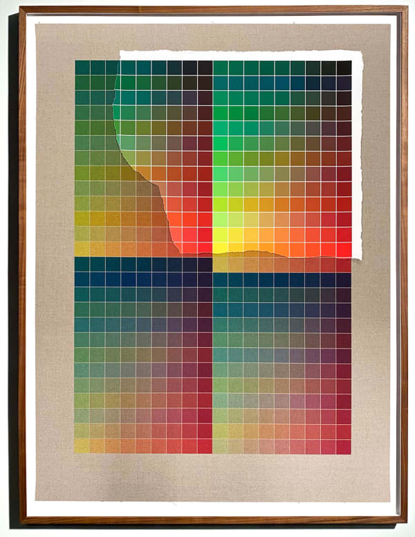 Analia Saban, Transcending Pigment from Paint to Canvas, from Canvas to Paint (Color) #2, 2020