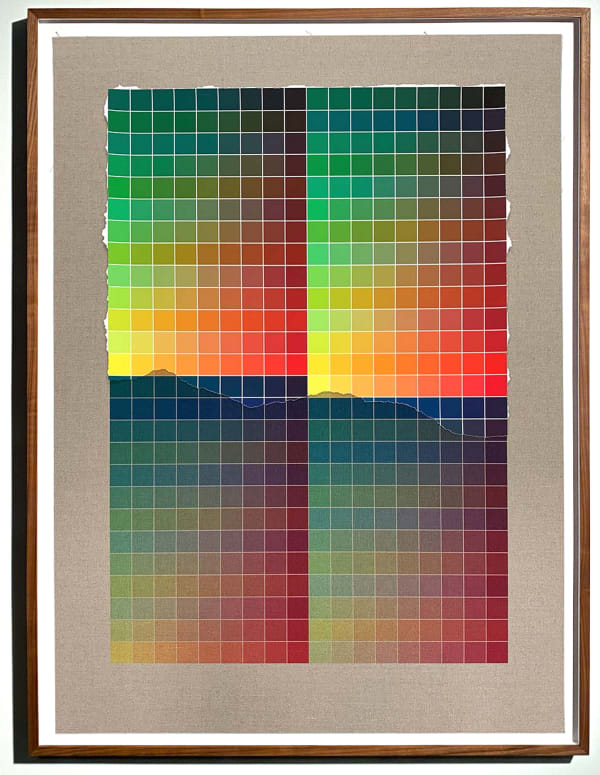 Analia Saban, Transcending Pigment from Paint to Canvas, from Canvas to Paint (Color) #2, 2020