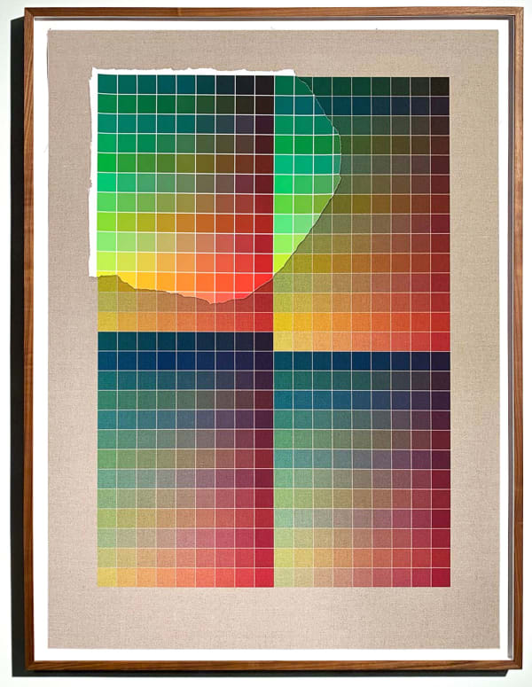 Analia Saban, Transcending Pigment from Paint to Canvas, from Canvas to Paint (Color) #2, 2020