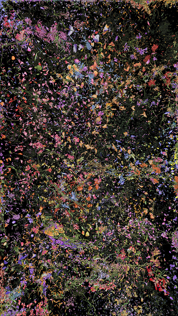 Jennifer Steinkamp, Botanic, 4, still frame 23, 2016