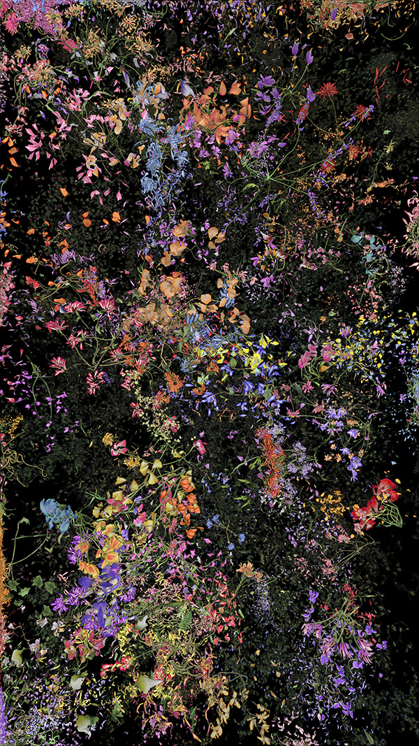Jennifer Steinkamp, Botanic, 4, still frame 11, 2016
