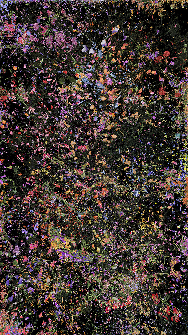 Jennifer Steinkamp, Botanic, 4, still frame 24, 2016