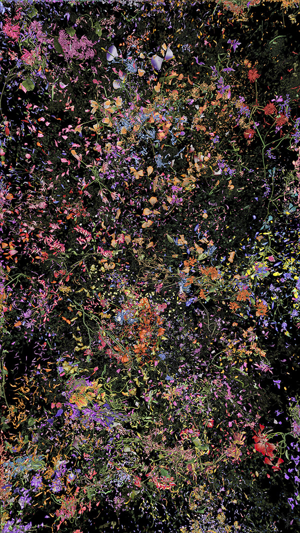 Jennifer Steinkamp, Botanic, 4, still frame 20, 2016