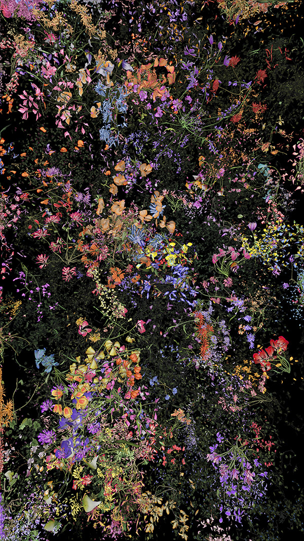 Jennifer Steinkamp, Botanic, 4, still frame 10, 2016