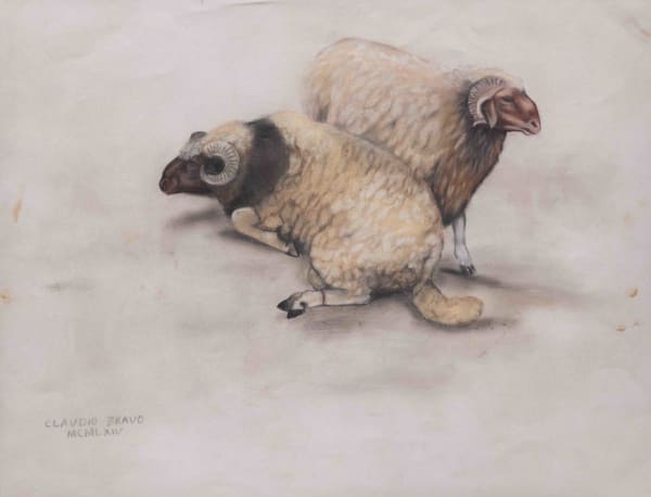 Claudio Bravo, Deux moutons, 1964
