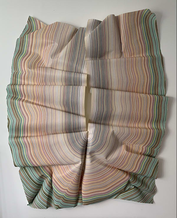 Tulip. Colour Pencil on Paper. Shown here unframed.