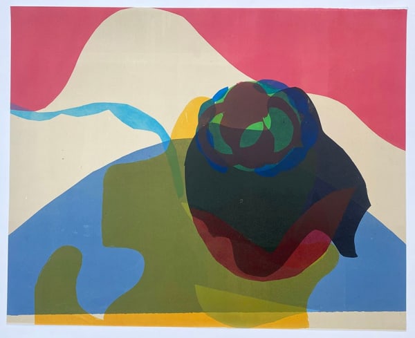 Fiona de Bulat Cereus, 2023 Offset Lithograph Unique 54 x 75 cm 21 1/4 x 29 1/2 in