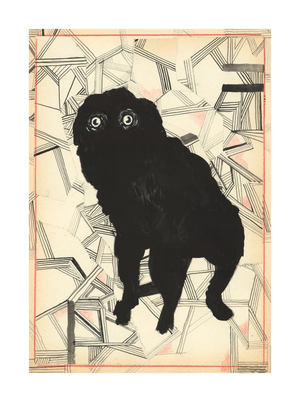Stephen Brandes Pug, 2021 Pigment Inkjet on 308 gsm Natural Soft White Cotton Rag Archival Paper Image 59 x 42 cm; 23 1/4 x 16 1/2 in Paper size 69 x 52 cm; 27 1/8 x 20 1/2 in