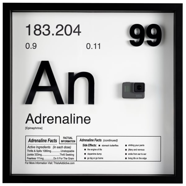 Daniel Allen Cohen, Adrenaline, 2022