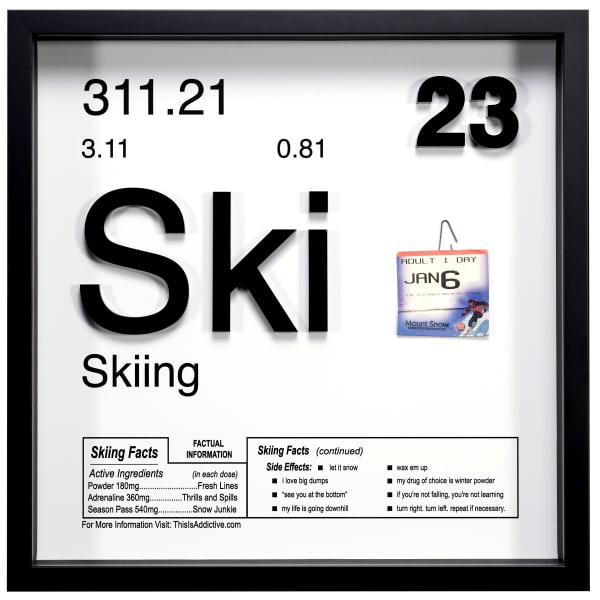 Daniel Allen Cohen, Skiing, 2022