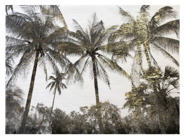 Bill Claps, Palm Canopy, 2022