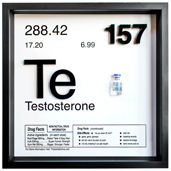Daniel Allen Cohen, Testosterone, 2022