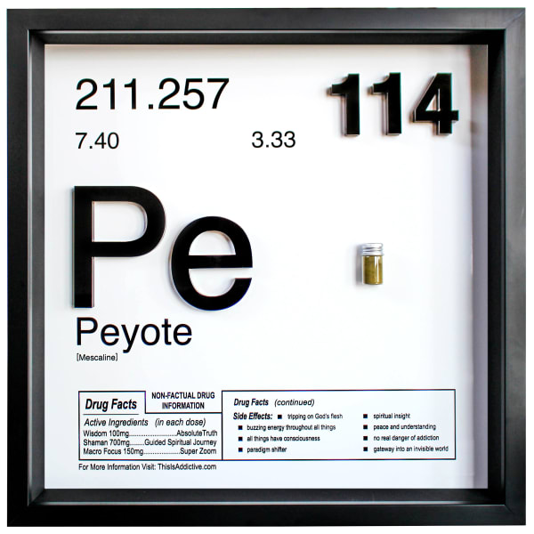 Daniel Allen Cohen, Peyote, 2022