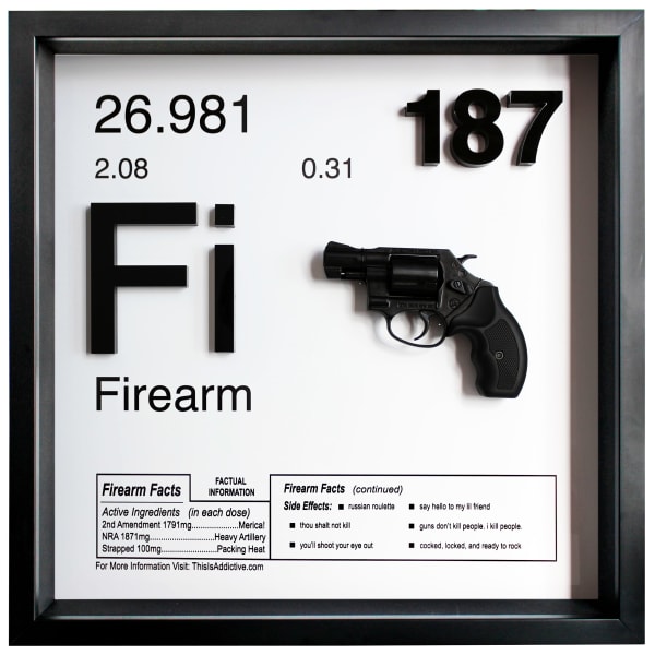 Daniel Allen Cohen, Firearm, 2022