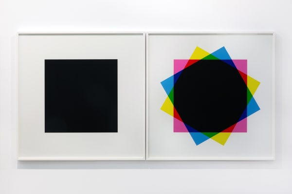 Hamra Abbas, Misprint 2 (Diptych), 2019