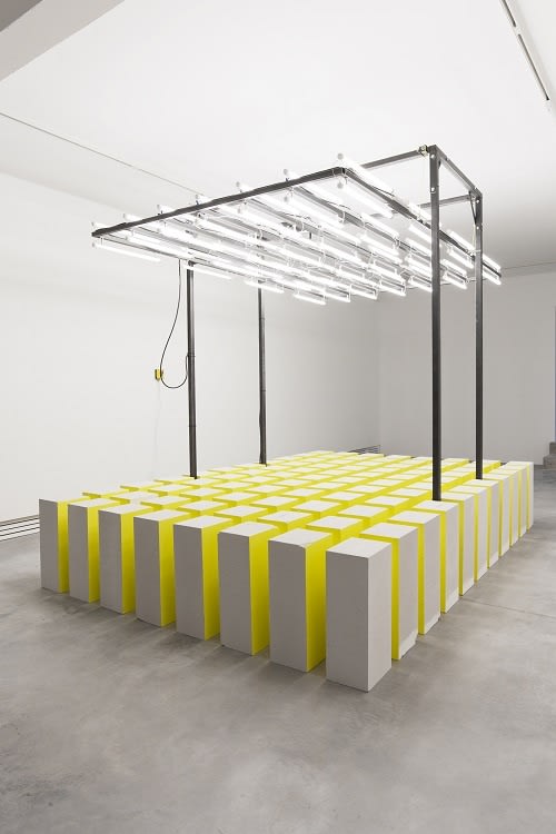 Nathaniel Rackowe, The Consequence of Light, 2014