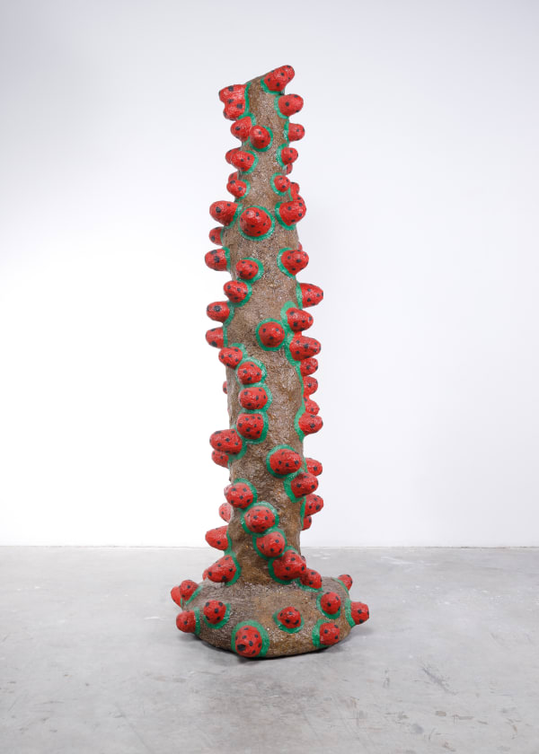 Mohamed Ahmed Ibrahim, Tomato Tree, 2013 TBC