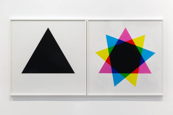 Hamra Abbas, Misprint 1 (Diptych), 2019