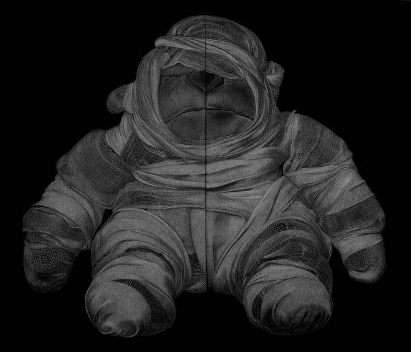 Adeel uz Zafar, I am angry!, 2012