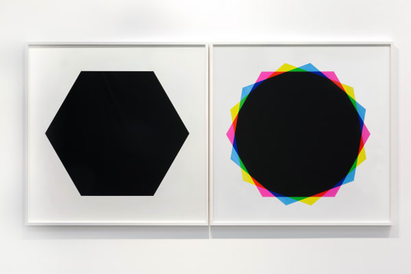 Hamra Abbas, Misprint 3 (Diptych), 2019