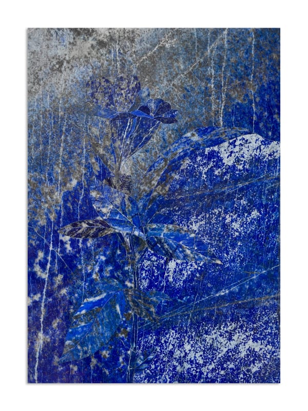 HAMRA ABBAS Flower Studies 8, 2023