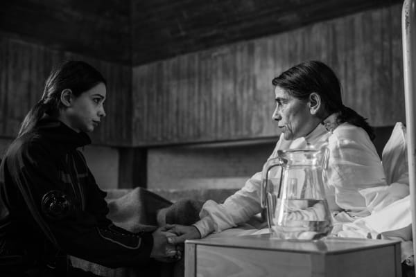 Larissa Sansour, In Vitro, 2019