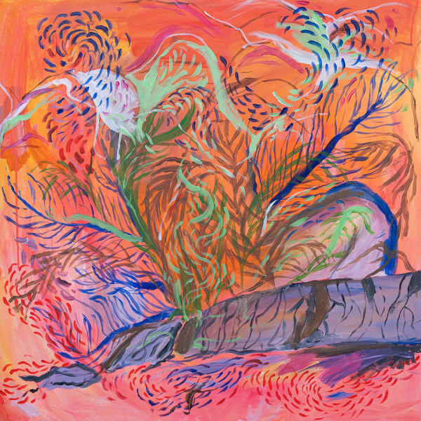 Augustine Paredes, A palm tree cut in half, 2022