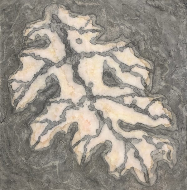 Barbara Edelstein 芭芭拉・愛德斯坦, Leaf in the Air (series) 空气中的叶 （系列）, 2020