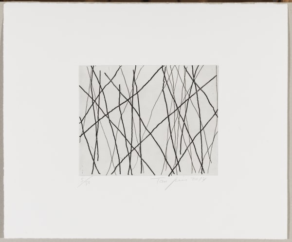 Tan Ping 譚平, Untitled 无题, 2014