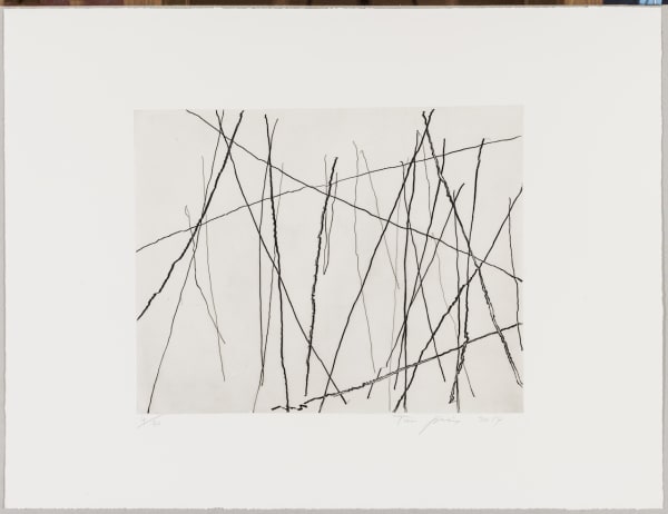 Tan Ping 譚平, Untitled 无题, 2014