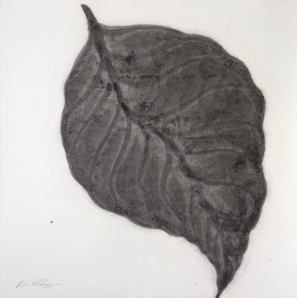 Barbara Edelstein 芭芭拉・愛德斯坦, Leaf in the Air (series) 空气中的叶 （系列）, 2020