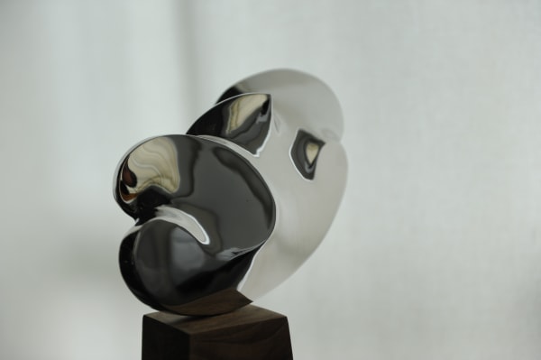 Lee Chin-fai Danny 李展輝, A Fruit, a Dream, a Piece of Cloud, 2010