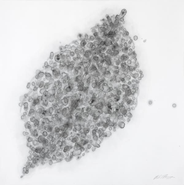 Barbara Edelstein 芭芭拉・愛德斯坦, Leaf in the Air (series) 空气中的叶 （系列）, 2020