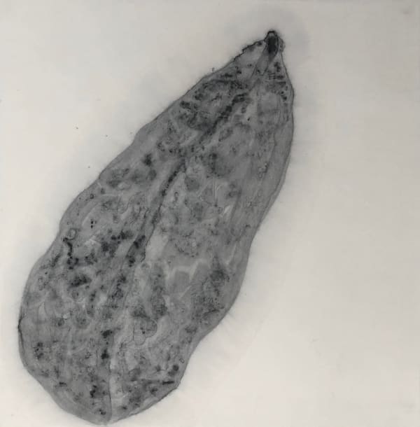 Barbara Edelstein 芭芭拉・愛德斯坦, Leaf in the Air (series) 空气中的叶 （系列）, 2020