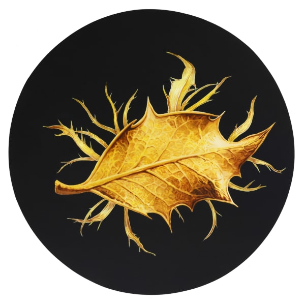 Cang Xin 蒼鑫, Hidden Consciousness Series X No. 098, 2014