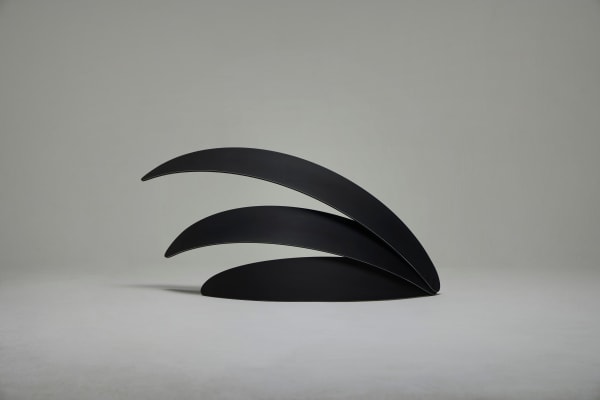 Byoungho Kim 金炳昊, A Section of the Garden - 6T3S.MB2 花園的部分 - 6T3S.MB2, 2025