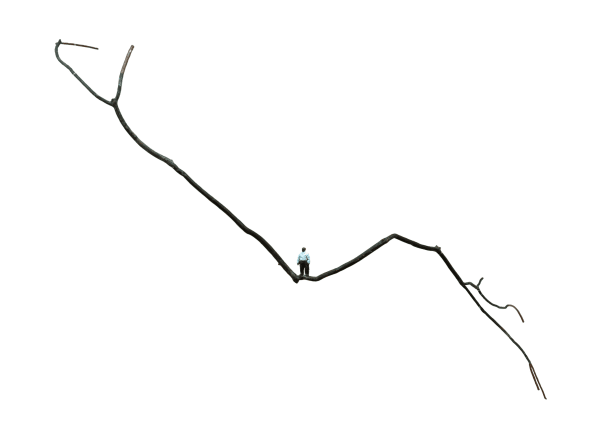 Fung Lik-yan Kevin 馮力仁, Summation of Choices b, 2011